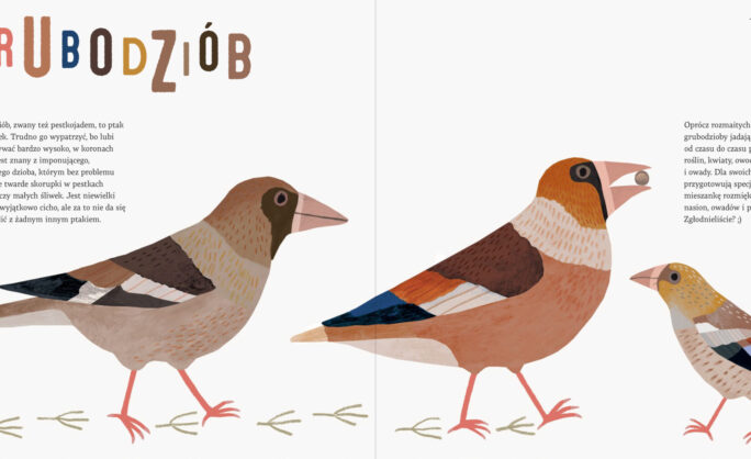 Obraz Główny: Strony z książki „Zapraszamy ptaki do Gdyni”, wydanej przez Urząd Miasta w Gdyni