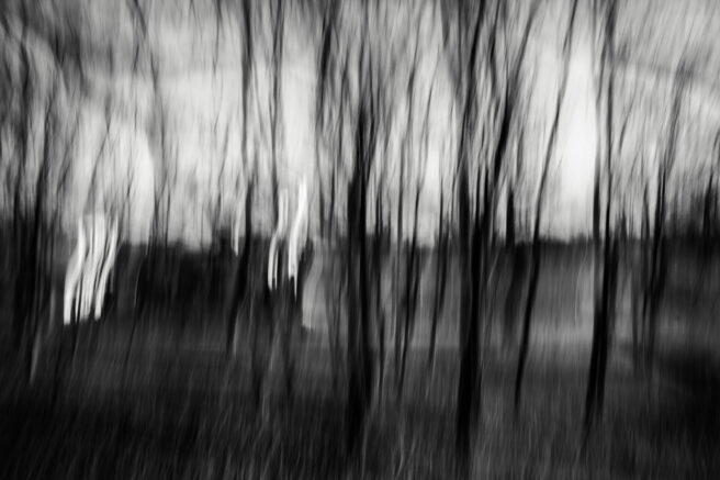Fotografia: Kornelia Głowacka-Wolf