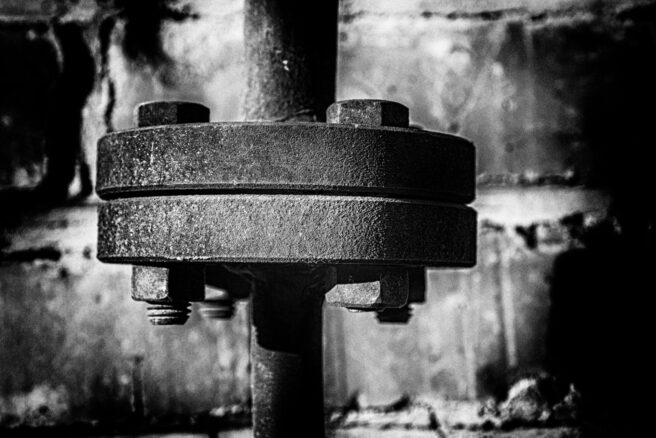 Fotografia: Małgorzata Szymańska