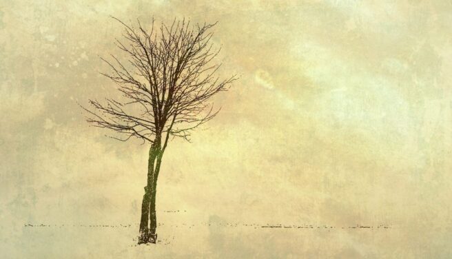 Ratunek w pojedynkę