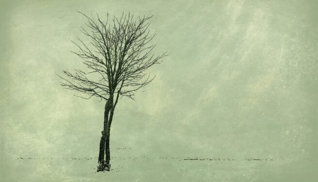 Niekatalog małych spraw