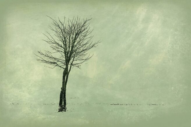 Fotografia: Małgorzata Szymańska