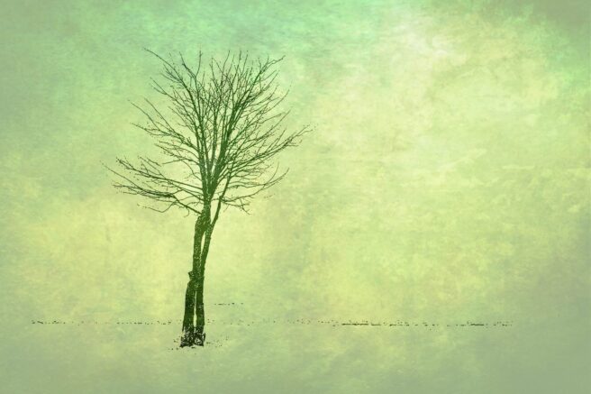 Fotografia: Małgorzata Szymańska