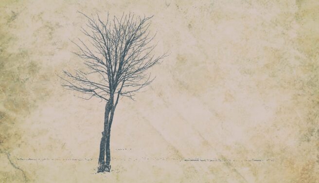 Wspomnienie dedykowane babci Lucjannie