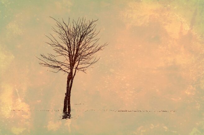 Fotografia: Małgorzata Szymańska