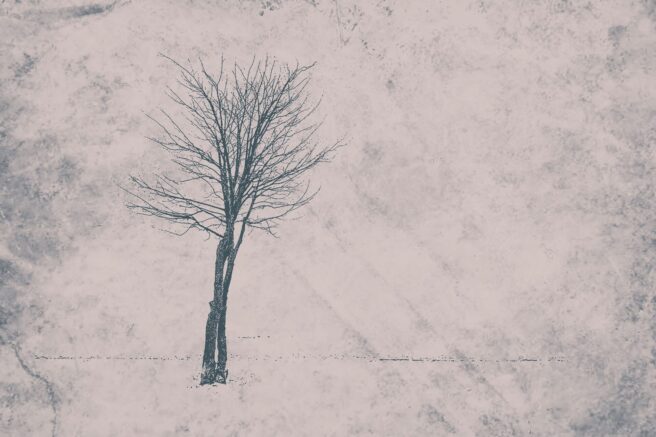 Fotografia: Małgorzata Szymańska