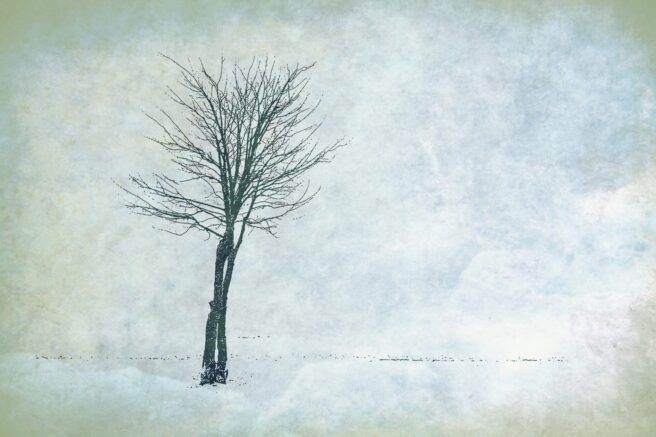 Fotografia: Małgorzata Szymańska