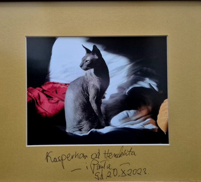 Z archiwum Andrzeja Kasperka