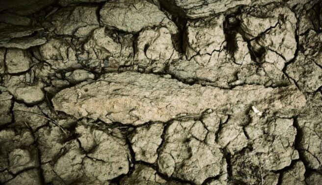 W poszukiwaniu protokołu stworzenia