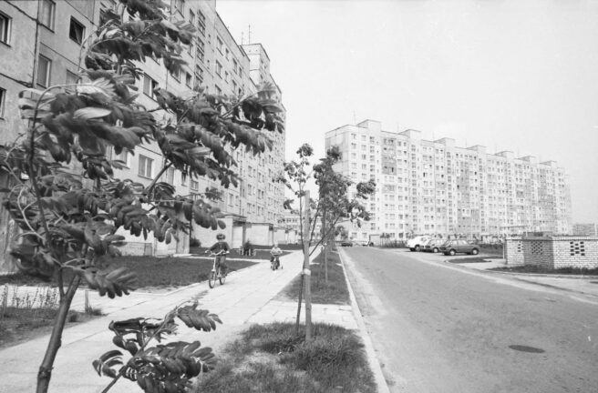 Od lewej: Startowa 5 i Startowa 11, maj 1980, fot. Marek Zarzecki (sygnatura 10/3127/204, Archiwum Państwowe w Gdańsku) 